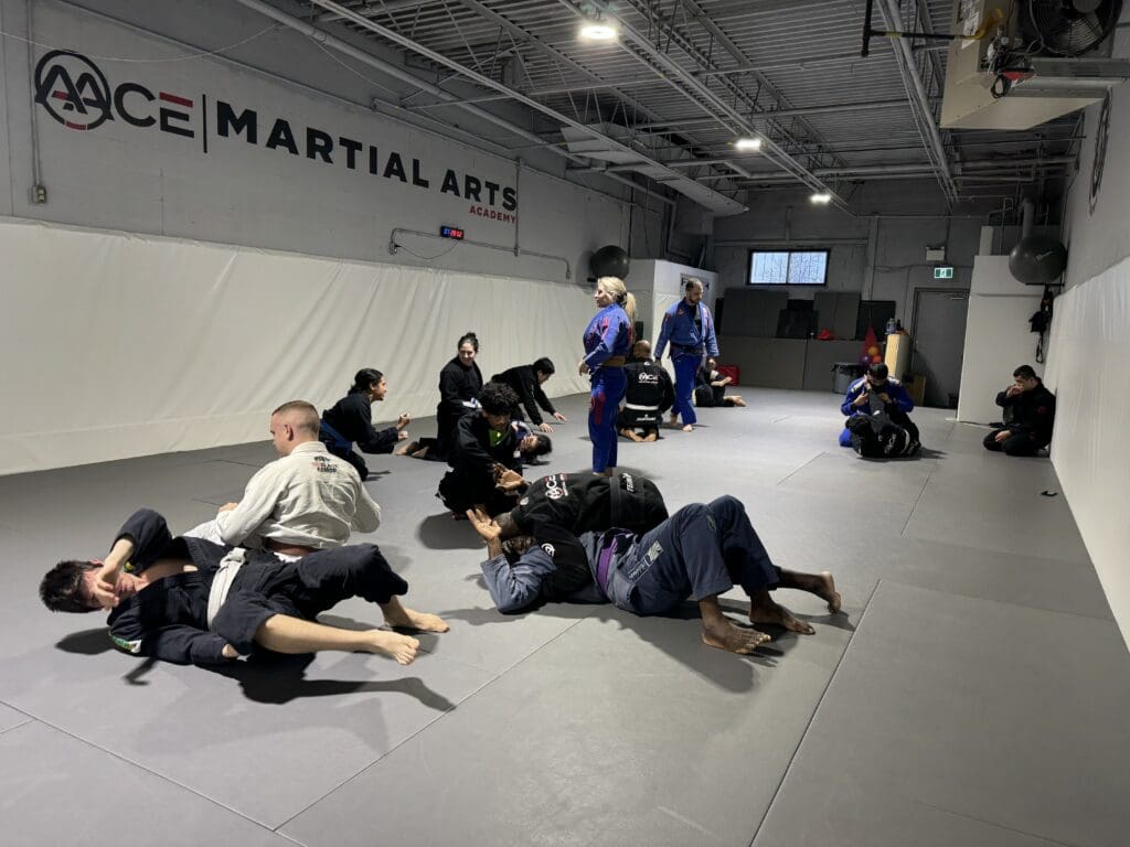 Our Blog - AACE Martial Arts Academy