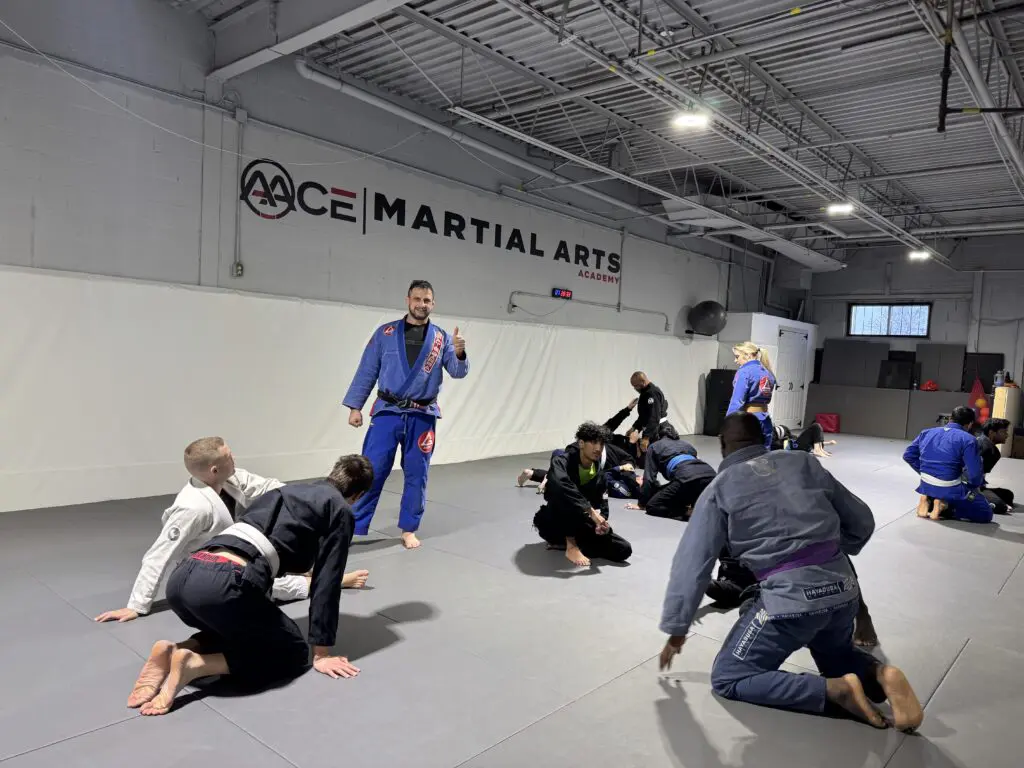 Our Blog - AACE Martial Arts Academy